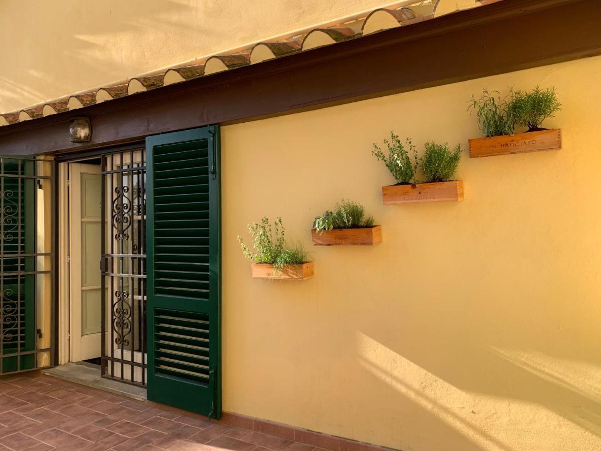 La Terrazza Di Via Elisa Lucca Exterior foto